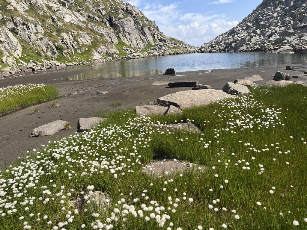 Laghi.......del TRENTINO